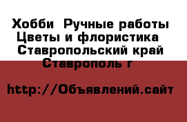 Хобби. Ручные работы Цветы и флористика. Ставропольский край,Ставрополь г.